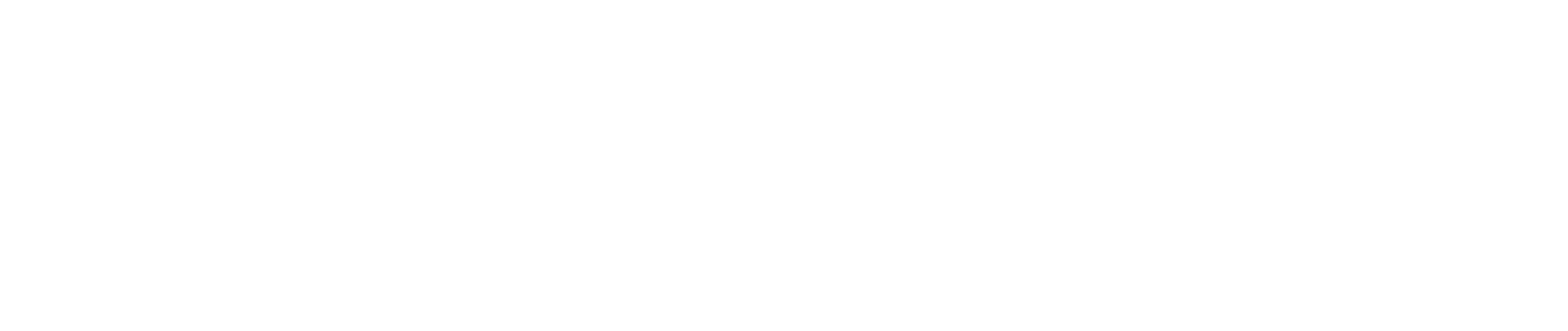 Noch_Wordmark_WHT